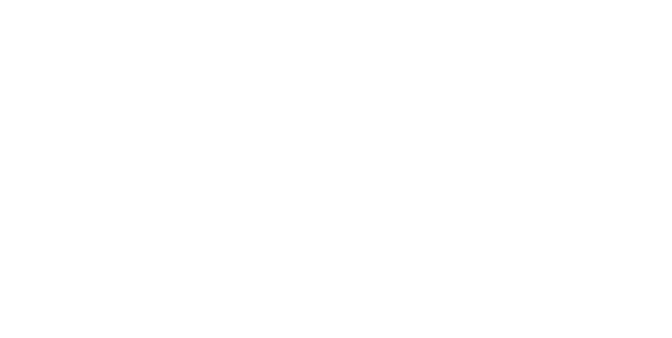 Logo SYE
